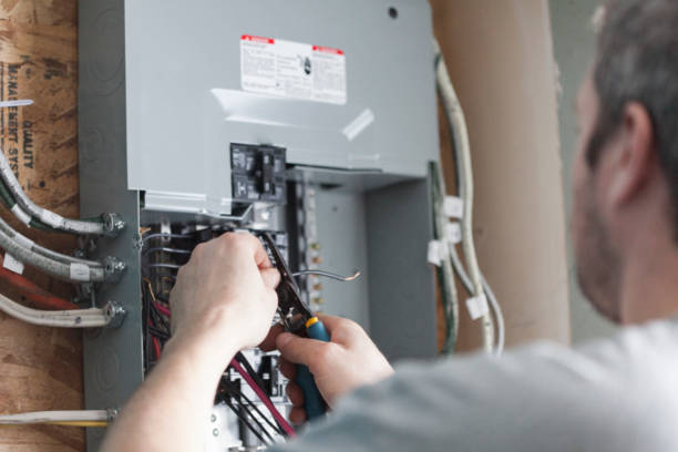 Best Electrical Panel Upgrades  in Bradley, IL